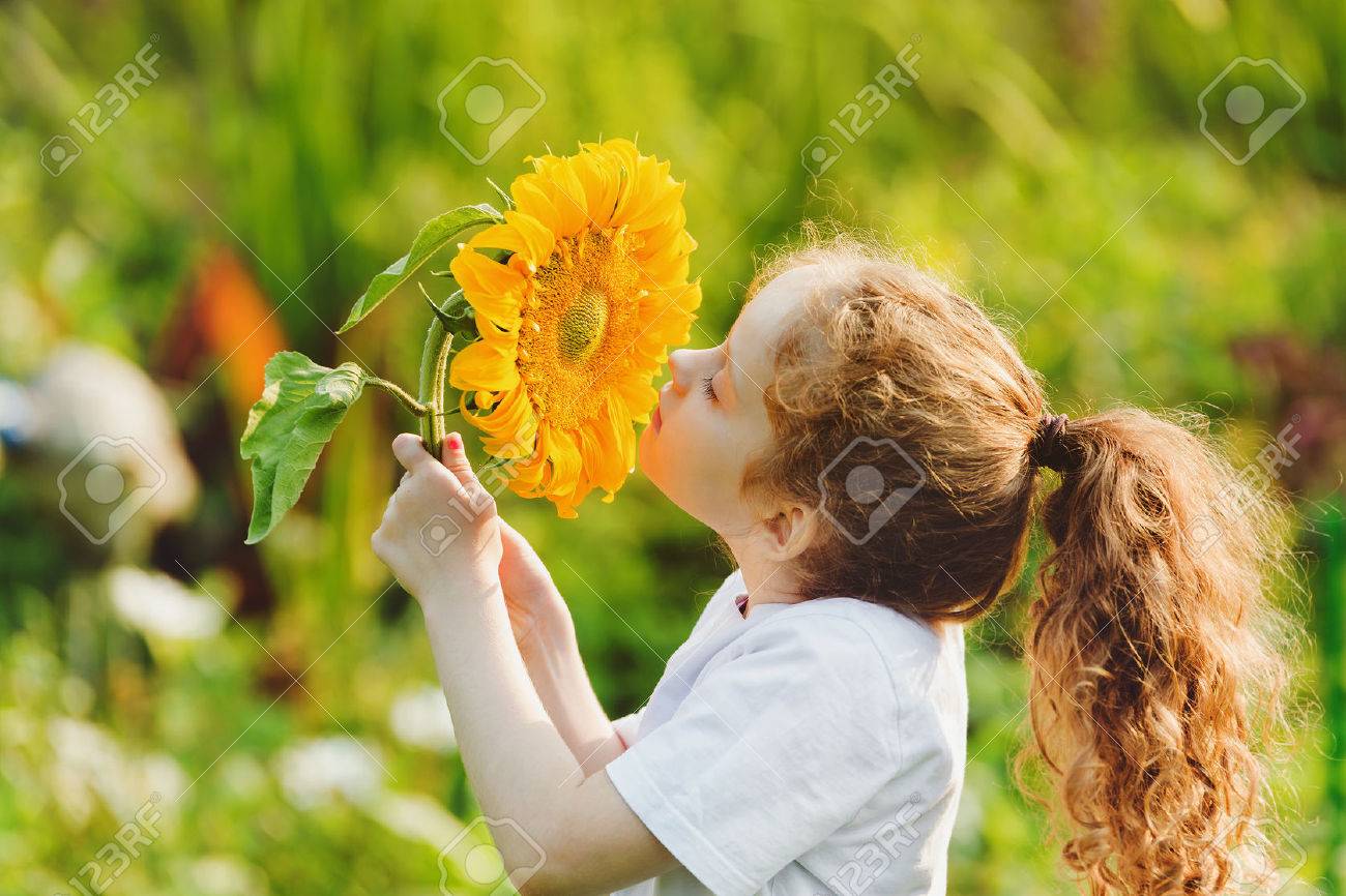 62608574-joyful-child-smell-sunflower-enjoying-nature-in-summer-sunny-day-healthcare-freedom-and-happy-childh