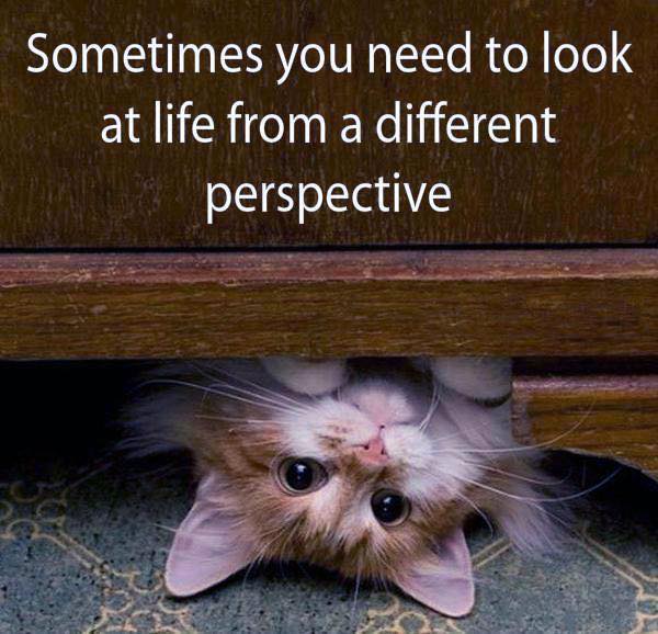 Look differently